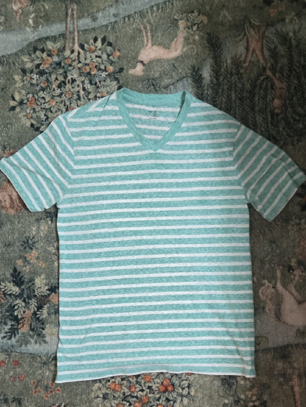 GAP Mint and White Striped V-Neck Tee